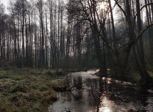 zdjęcie rzeki - agroturystyka Piła