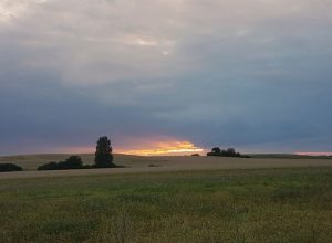 Agroturystyka okolice Piły - zdjęcie