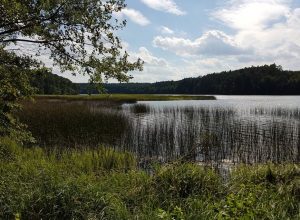 Noclegi Piła - zdjęcie okolicy